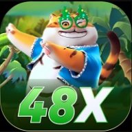 48x