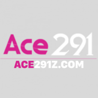 ace291zcom