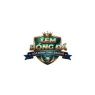 xembongdaltn
